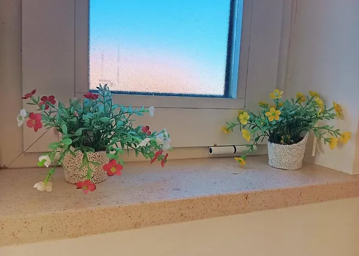 Sweet Oasis Parque *