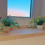 Sweet Oasis Parque *